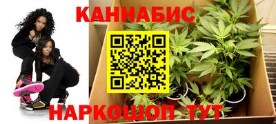 прущие грибы Заводоуковск